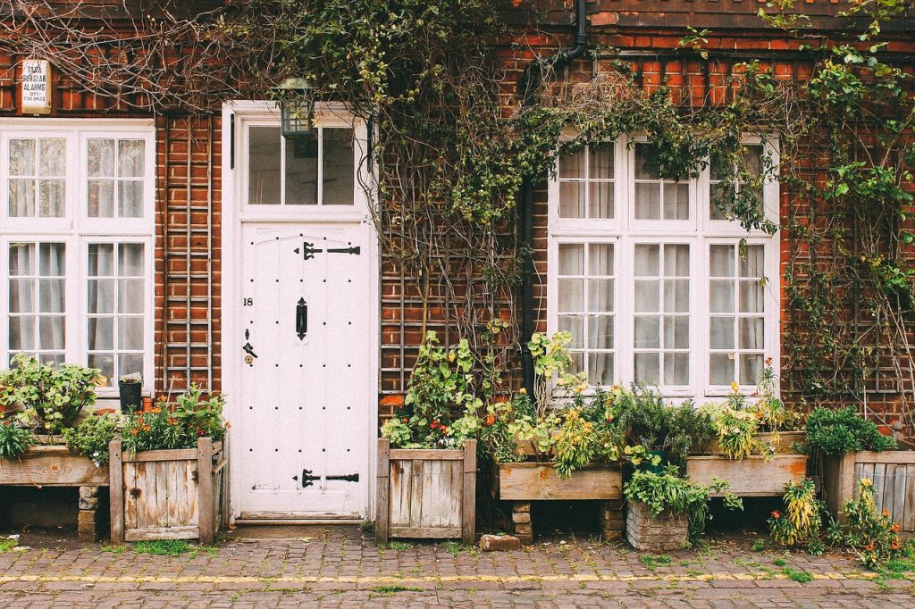 house, home, door, sidewalk, cobblestone, bricks, vines, plants, nature, brown home, brown house, brown plant, brown door, brown plants